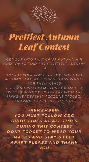 LeadershipMhhs's tweet photo. the winner will be decided by leaderships publicity committee :). good luck everyone! and stay safe💙 https://t.co/oAHsbuF5dj
