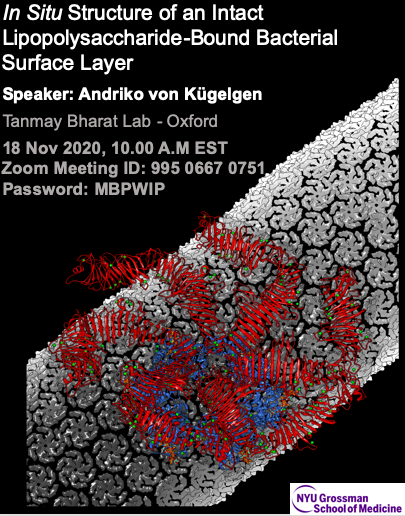 Mahrukh Usmani (@mahrukhusmani1) on Twitter photo We are excited to welcome Andriko von Kügelgen from the @TBharat_lab to talk about his work using #CryoEM and #MolecularDynamics to structurally characterize S-layer in #bacteria, hosted at <a href="/nyugrossman/">NYU Grossman School of Medicine</a> by the BMBP students! Nov 18, 10 am ET
nyulangone.zoom.us/j/99506670751?… We are excited to welcome Andriko von Kügelgen from the @TBharat_lab to talk about his work using #CryoEM and #MolecularDynamics to structurally characterize S-layer in #bacteria, hosted at <a href="/nyugrossman/">NYU Grossman School of Medicine</a> by the BMBP students! Nov 18, 10 am ET
nyulangone.zoom.us/j/99506670751?…
