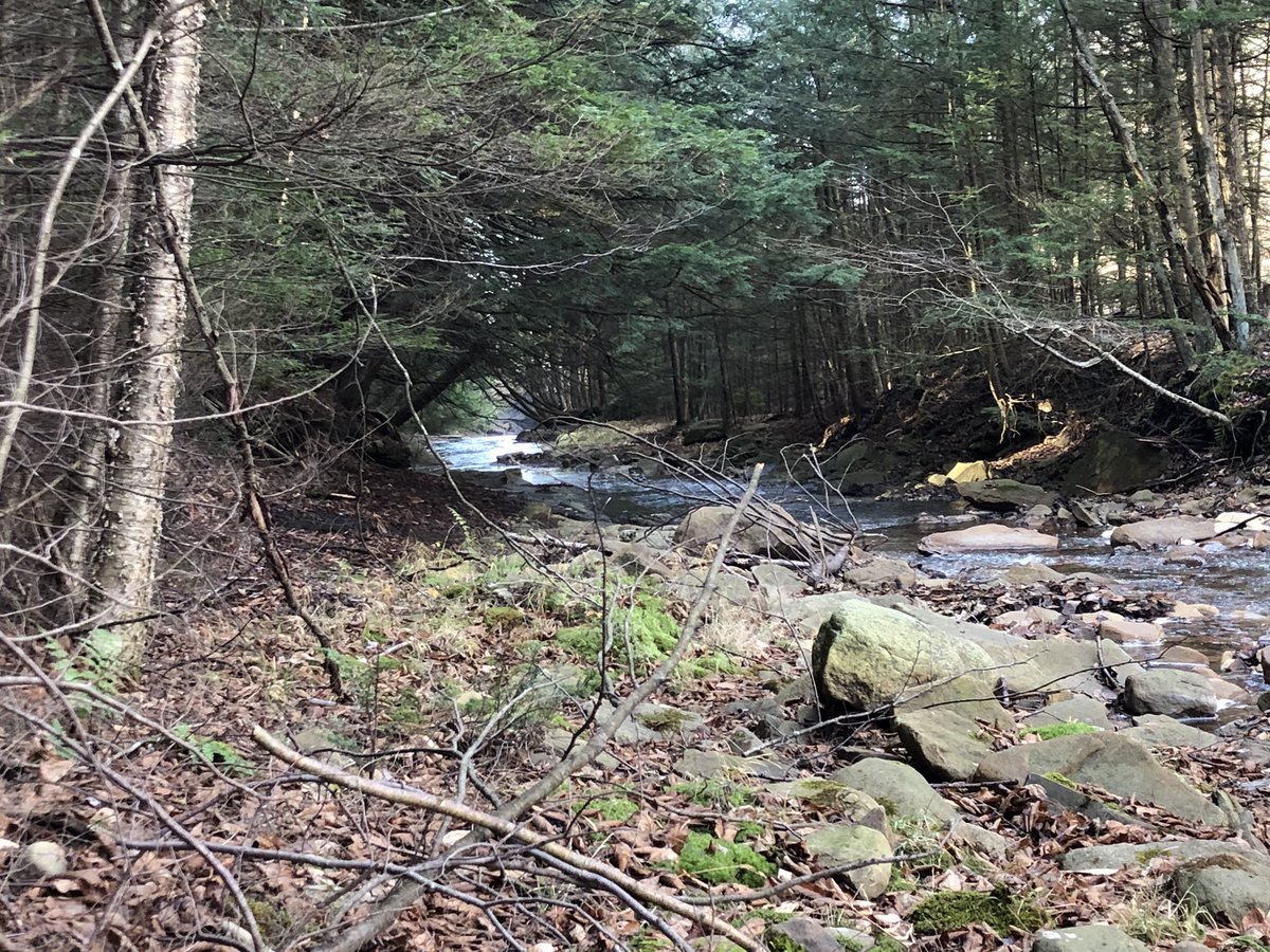 Patch_The_Medic's tweet image. well today was it lads! i got my last stream (for realz) and I got my Brainstorm pics I always wanted! Oh we out here in the field doin casual cosplay!! &amp;gt;:D #AlgaeTime #muahaha