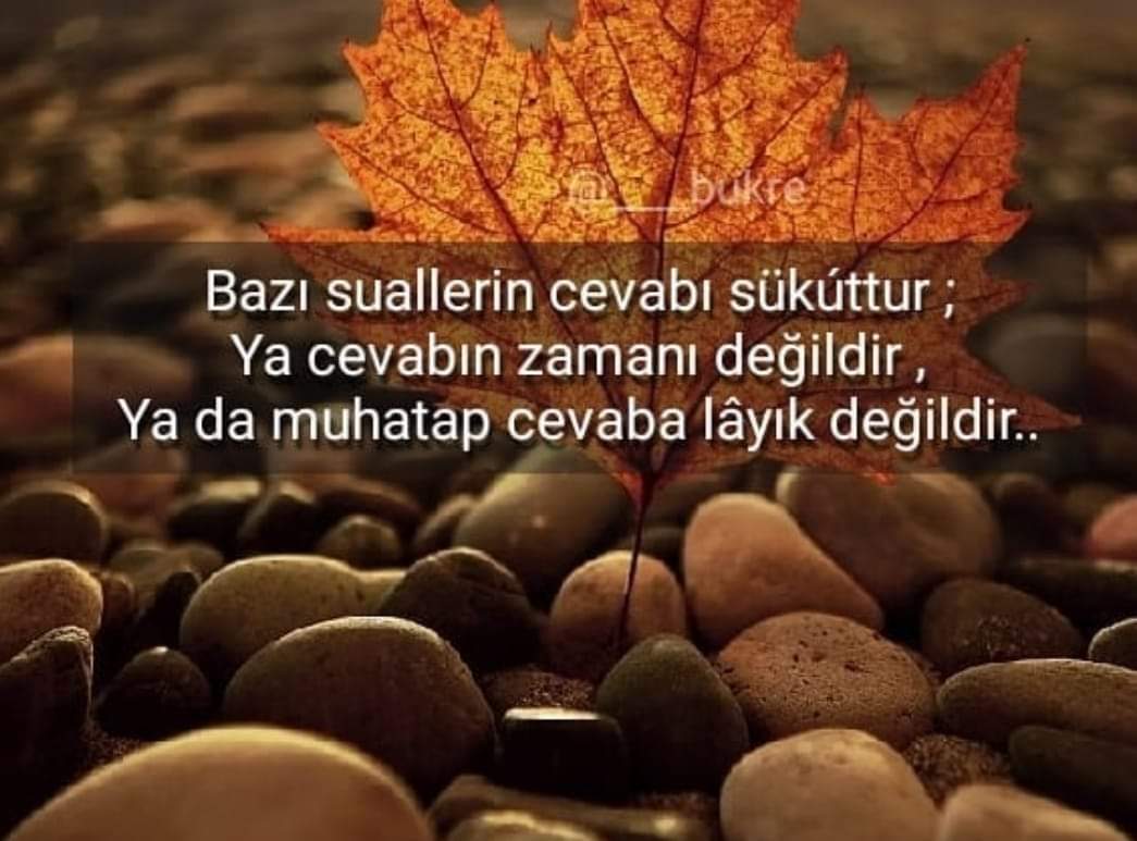 sacit sandıklar (@esenboha) on Twitter photo 