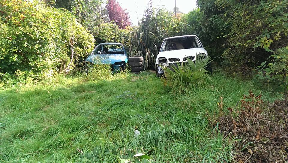 And whilst knocking about London on my bike, the weird beauty of gardens being reclaimed by nature