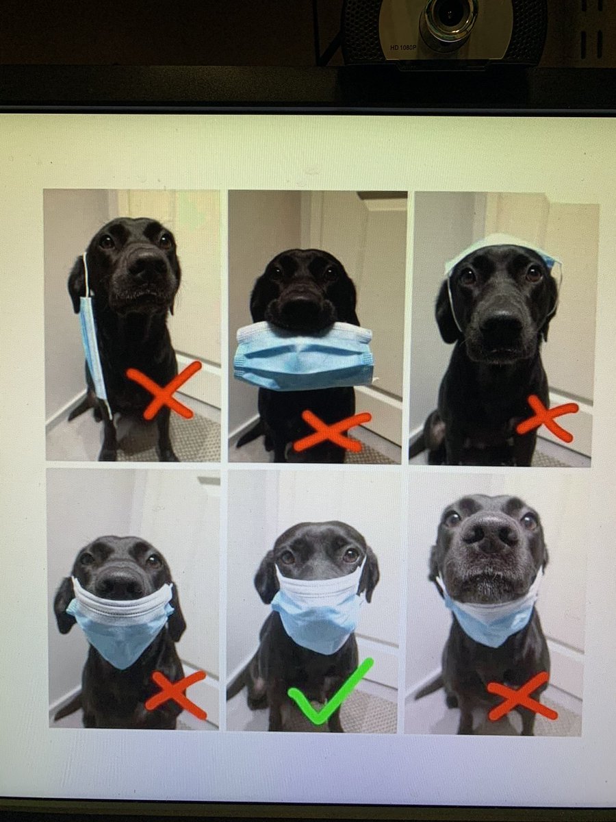stevenroot01's tweet photo. @LNWH_NHS best screen saver ever https://t.co/rQpRRhE62s