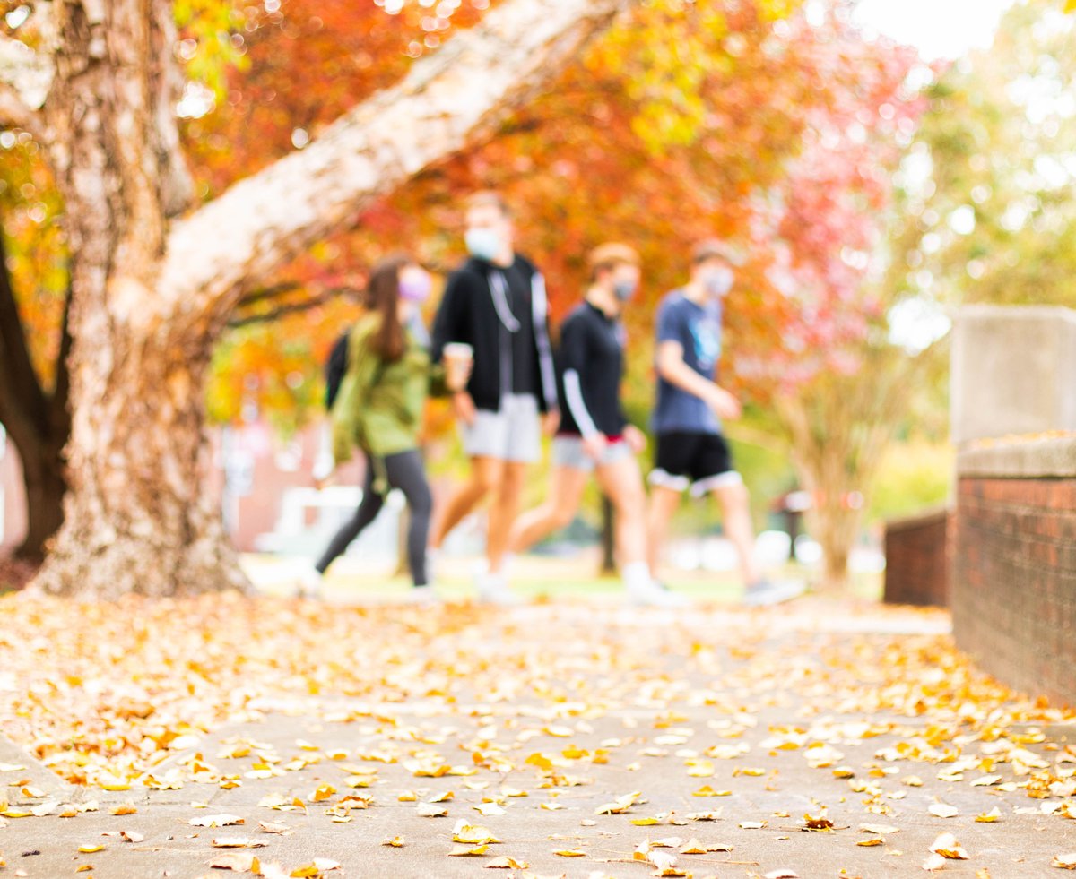 lenoirrhyne's tweet photo. Fall Friday feels π #LRViews https://t.co/jxbj1TUVyx