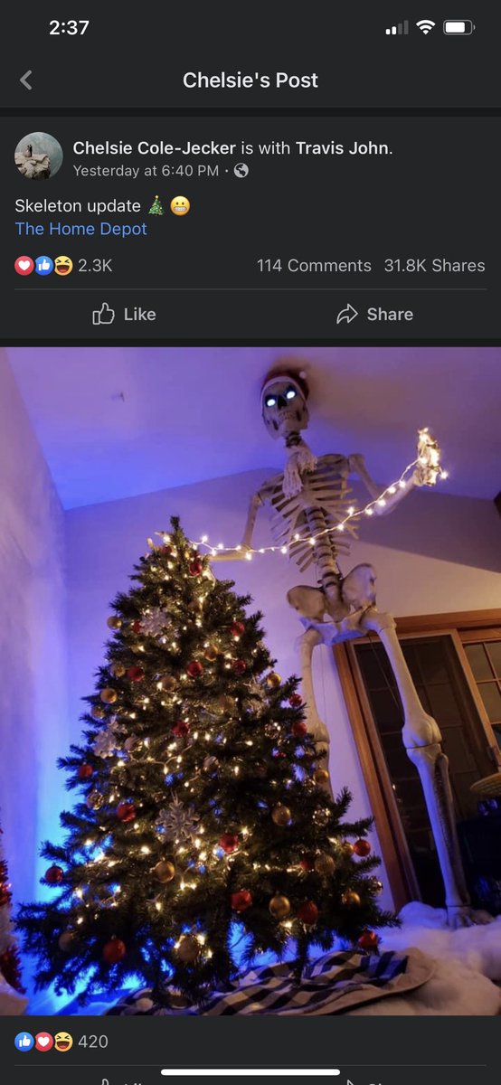 random_pirate27's tweet photo. @KarenKilgariff SpooOOOooky Christmas!!!! https://t.co/URBtYFp2aW