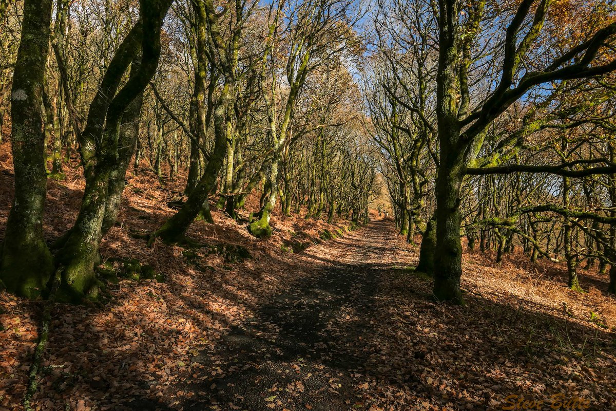 A nice walk this morning.