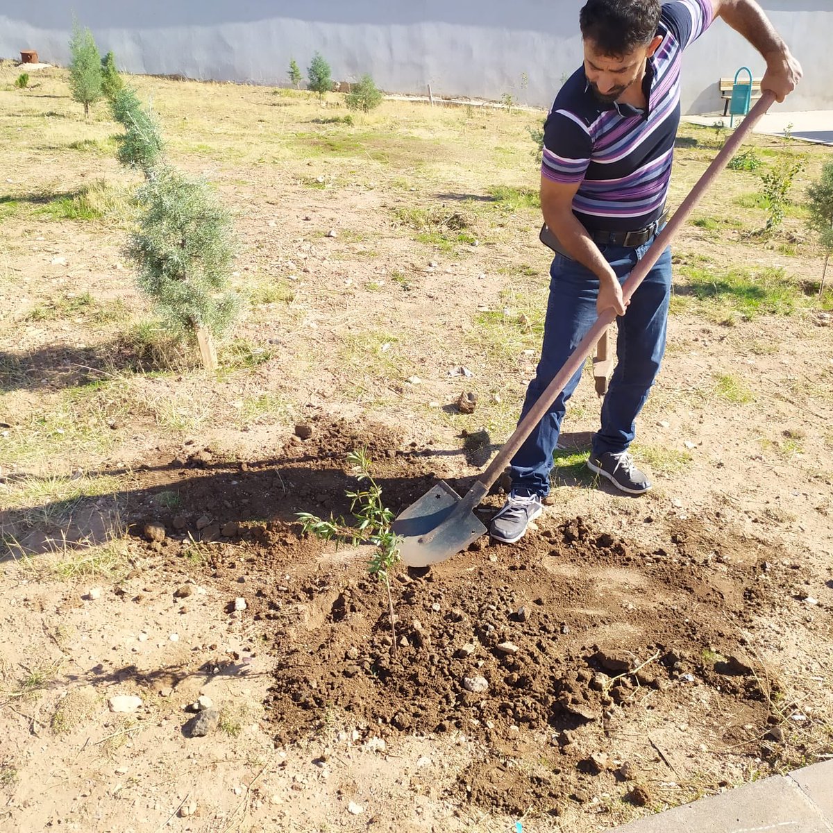 kokluce_gezer's tweet photo. 11.11 Ağaçlandırma günü...🌳🌲🍃 
#geleceğenefesol #ağaçlandırma #GelecegeNefes #temizhava https://t.co/zpt3RK5GFq