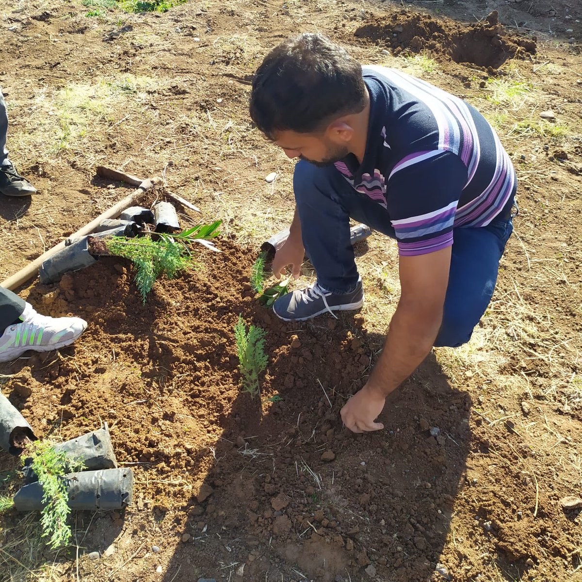 kokluce_gezer's tweet photo. 11.11 Ağaçlandırma günü...🌳🌲🍃 
#geleceğenefesol #ağaçlandırma #GelecegeNefes #temizhava https://t.co/zpt3RK5GFq