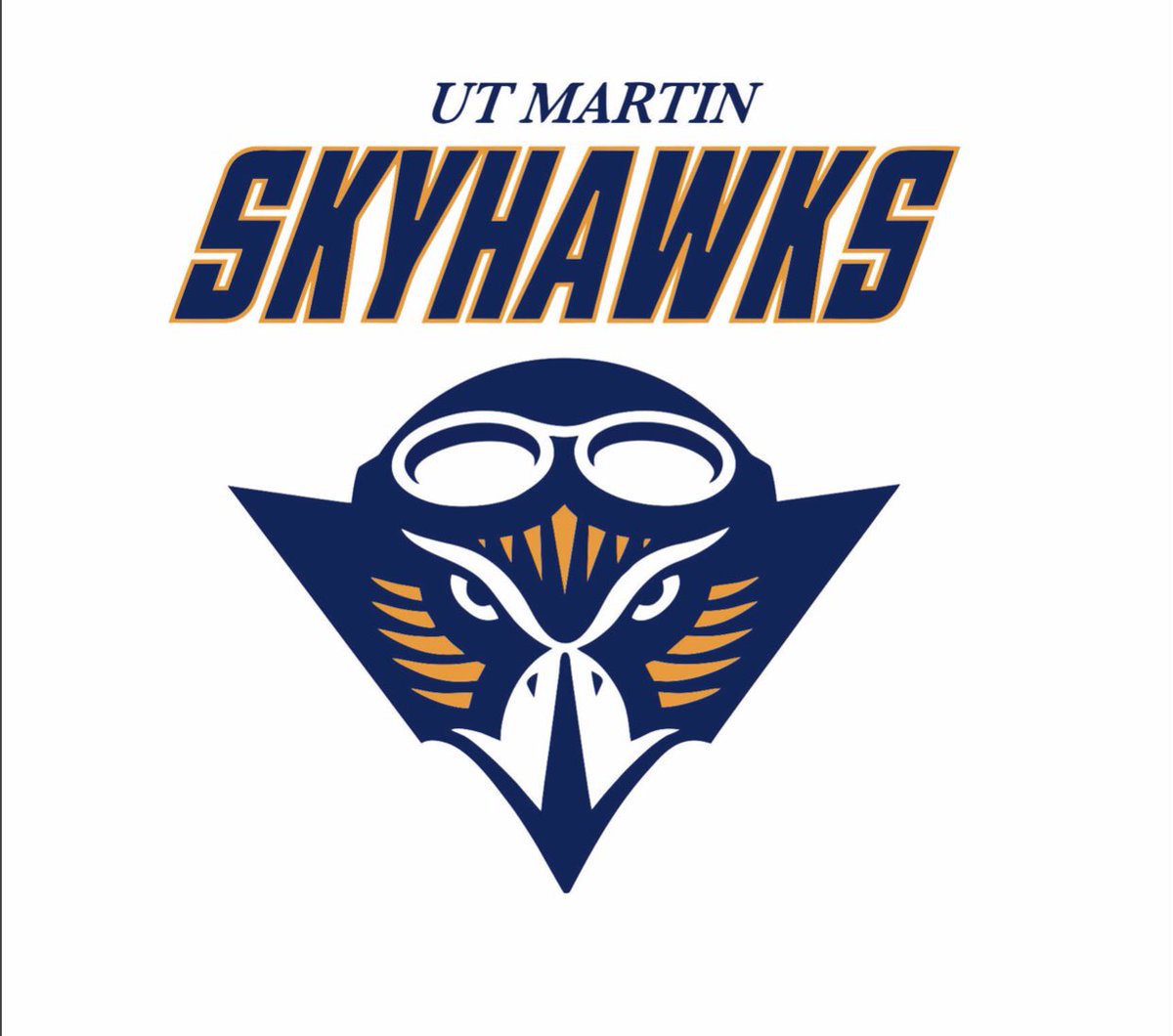TannerPark4's tweet photo. Very blessed and excited to announce I will be continuing my baseball career at the University of Tennessee in Martin. Thank you to everyone who helped me along the way. Go skyhawks! https://t.co/OWVeG3nFLC