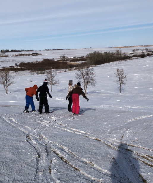 Making good use of all that snow with our skiis!