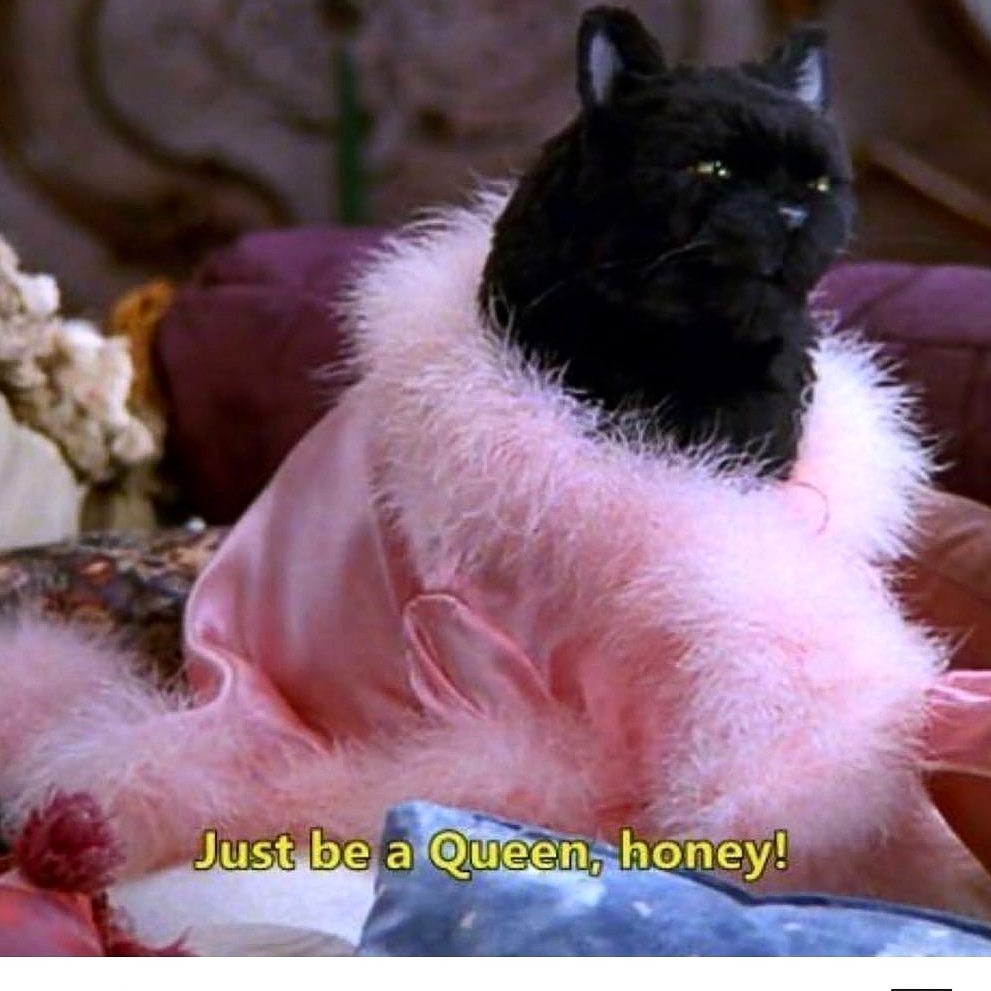 A Salem appreciation post on this wonderful Friday the 13th 💅🏻💗
×
Remember you only have 6 DAYS left to preorder our SUSPIRA LONG SLEEVE (link in bio). Follow Salem's advice and just be a horror queen, honey! 🖤✨ 
#Salem #sabrinatheteenagewitch #fridaythe13th #horrormerch