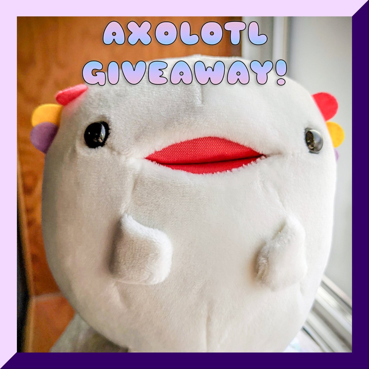 kumonekojp's tweet photo. 🦎 2x AXOLOTL #GIVEAWAY 🦎 Two prizes, two winners!

HOW TO ENTER:
1. Follow and RT
2. Like &amp; Follow on Instagram📷

Winners announced Tues 11/17!

No purchase necessary. Must be 18+. Not sponsored or affiliated by Twitter.

#stuffedanimals #plushie #kawaii #axolotl #salamanders https://t.co/rP0Ia2Ktp7
