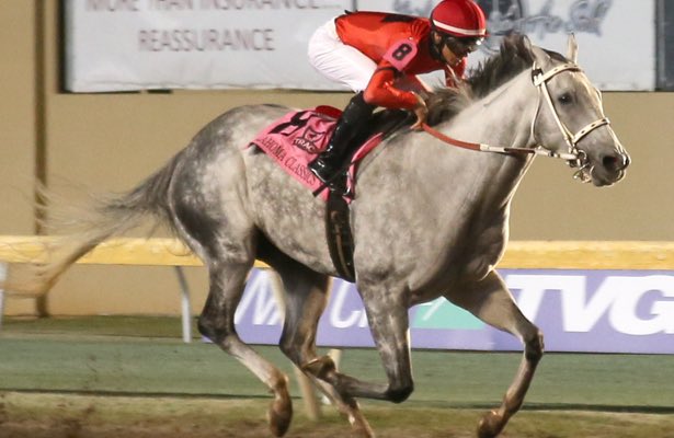 RemingtonPark's tweet photo. ๐บ๐๐พ๐Live racing continues tonight, Nov. 13, with three stakes races for Oklahoma-breds, including two-time Oklahoma Horse of the Year Welder who will start in the $70K Silver Goblin Stakes. Racing also continues Sat., Nov. 14. The first race both nights is at 7:07pm #BestBetYet https://t.co/poIUEgotEV