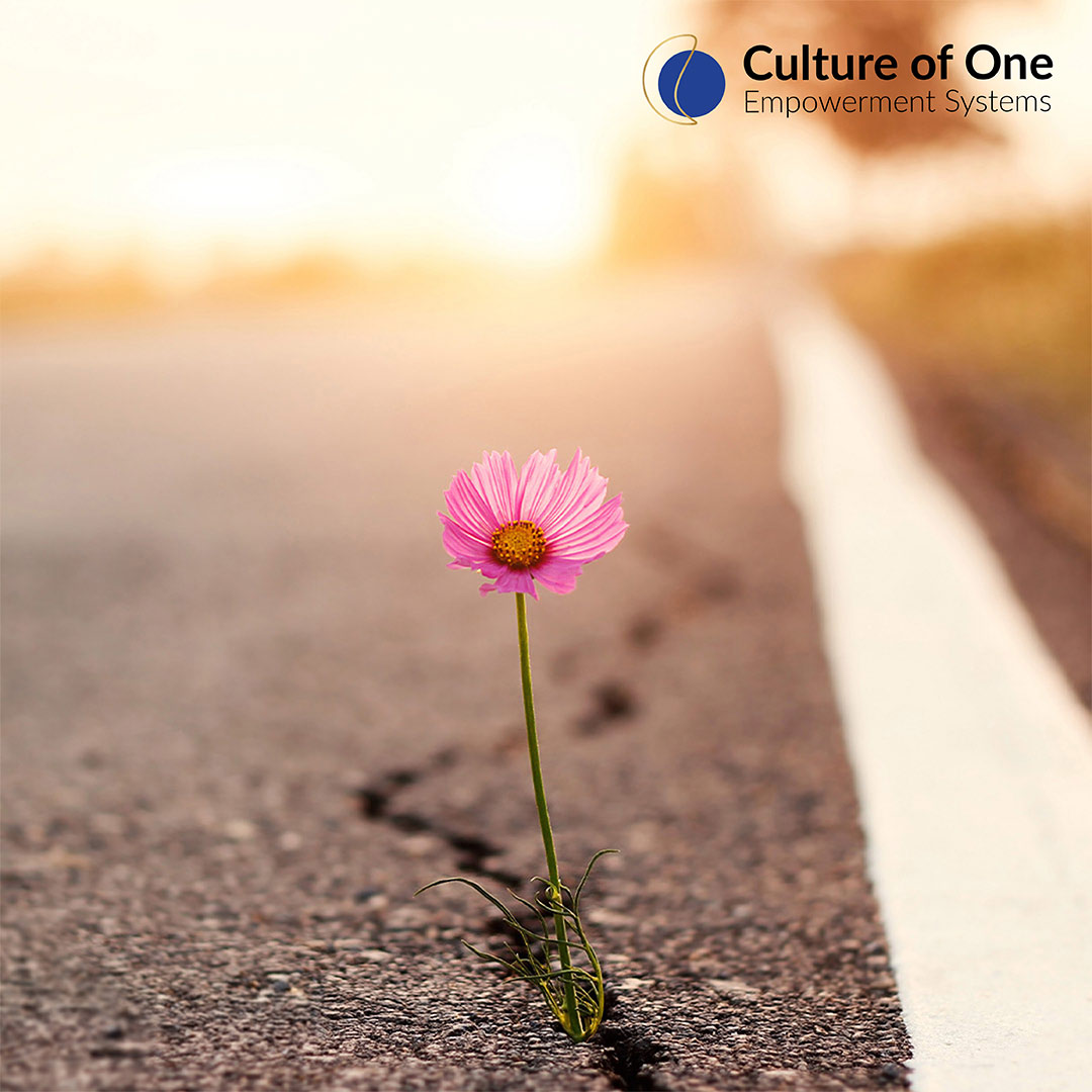 lstenlearndscvr's tweet image. When you&apos;re engaging with your life&apos;s purpose, you feel internal peace, happiness and joy— because you are doing what you were born to do. Every human needs to find their foundational purpose if you want to understand why you are alive. #PowerOfPurpose listenlearndiscover.com