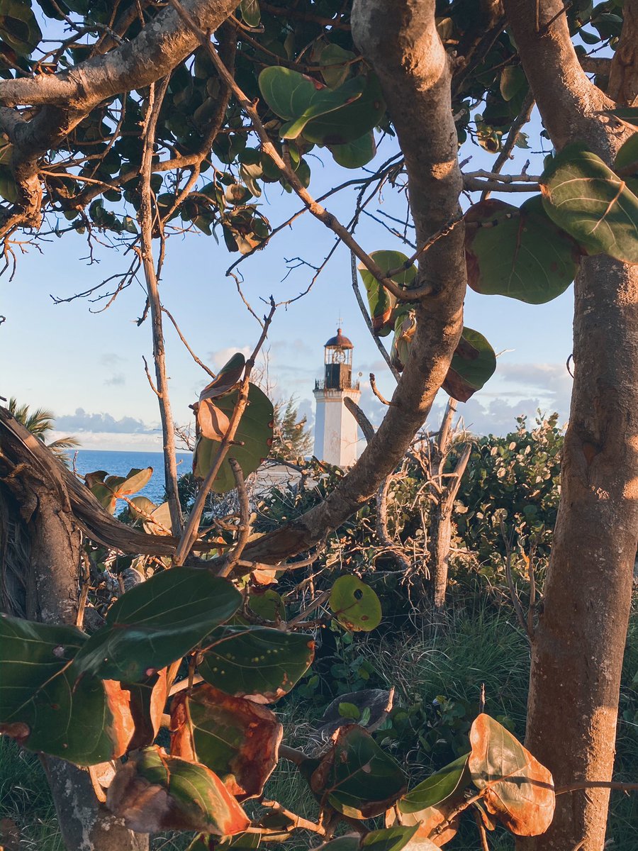 rutaidealpr's tweet photo. “Para ser feliz no hay que soñar, hay que vivir” .

Maunabo se le conoce como el “el pueblo jueyero”, “los come jueyes” y “la ciudad tranquila”.

.
.
.
.

Faro punta tuna y túneles 
Maunabo, PR📍

#puertoricogram 
#puertoricocompartetuisla 
#tiratepr #spotinpr  @VoyTuristeando https://t.co/HIOCcxeVsA