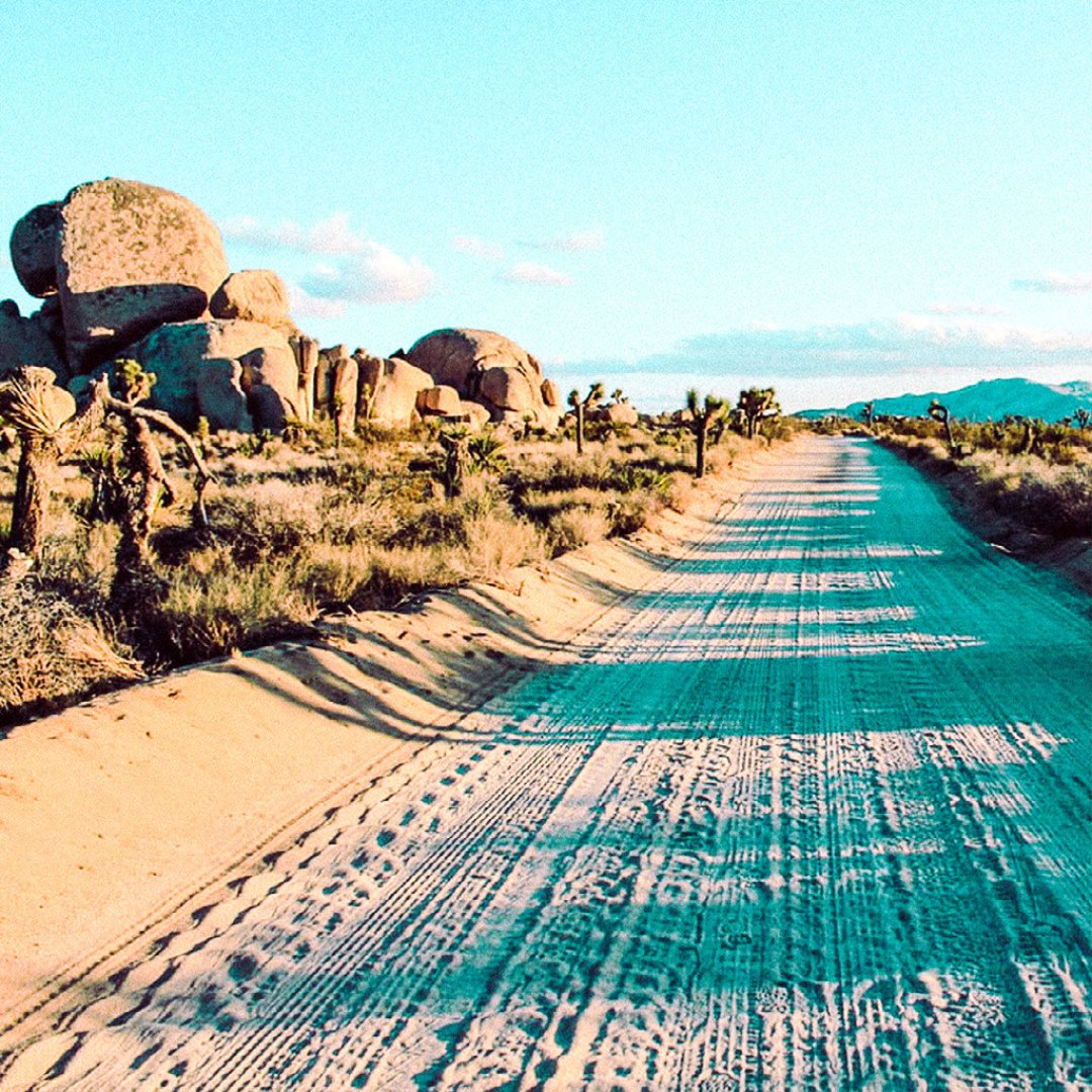 The Secret Tours - Joshua Tree tweet media