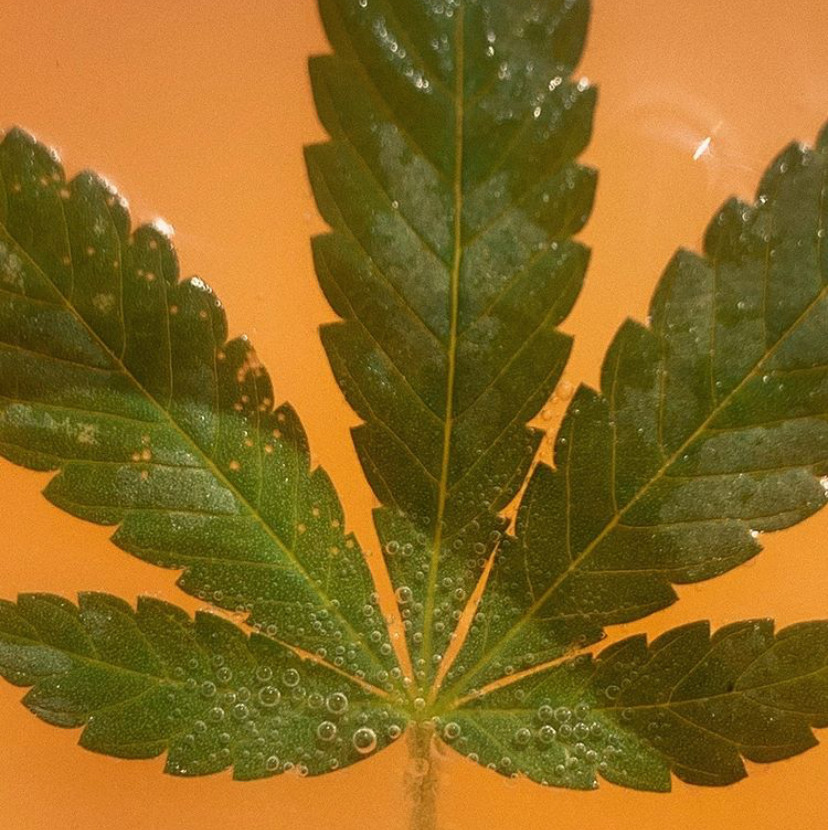 superanytime's tweet image. It's that time again. 📸 @discocubes #SuperAnytime #BetterThanYourDealer