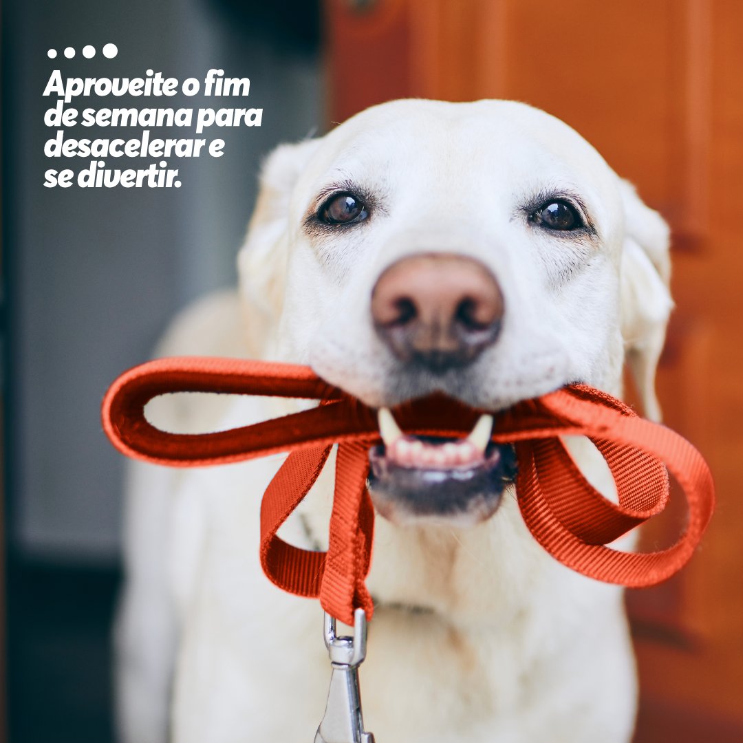 ConectCarBr's tweet photo. O fim de semana chegou!
Momento de relaxar, esquecer as obrigações e apenas curtir ao lado de quem você ama.
🐕 Bora passear?
#ConectCar #PorOndeVocêFor #vamosjuntos #conectados https://t.co/zhOuLmdaAX