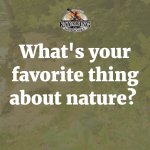 Photo by White River Kayaking & Outdoors (@WRKayaking)