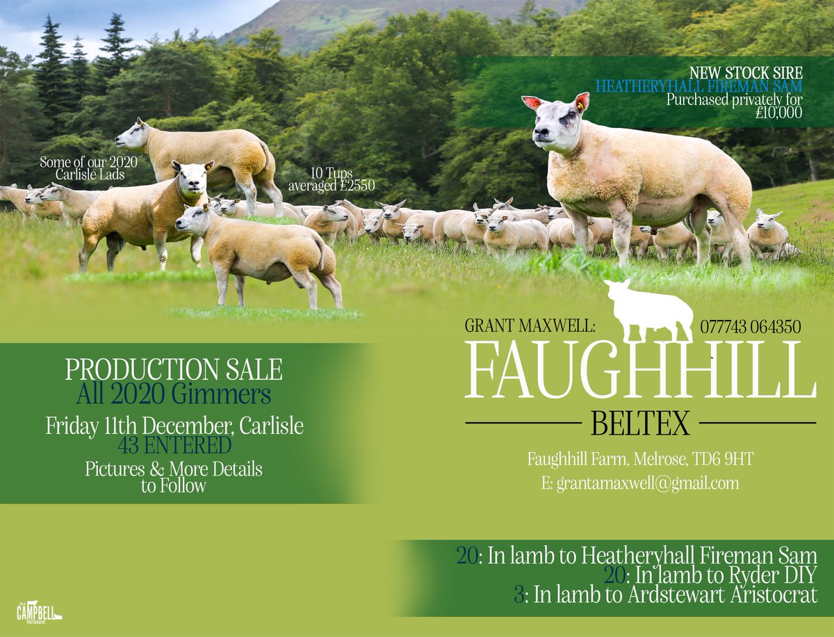 FaughhillFarm's tweet photo. https://t.co/J7pt72Bgmo