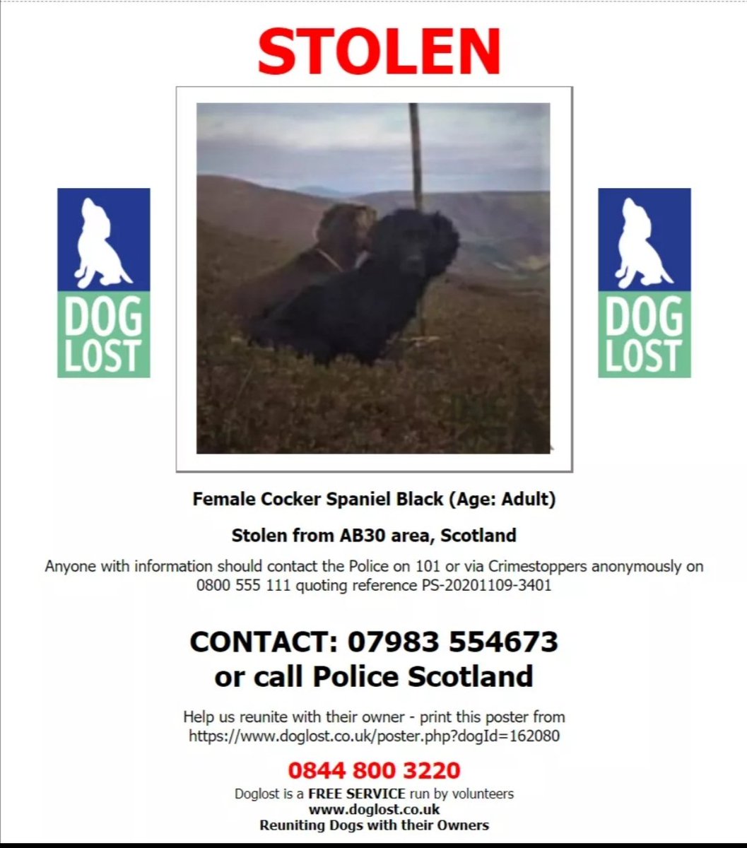 BeatonNicky's tweet photo. #GETSHOME PLEASE HELP FIND S - SHE WAS STOLEN FROM HER HOME IN #STONEHAVEN AREA OF SCOTLAND. THIEF DRIVING WHITE ELECTRIC NISSAN LEAF
SV70 0BT SEEN ON CCTV #GRAMPIANPOLICE GET TO WORK! https://t.co/0FBZiVxfLw