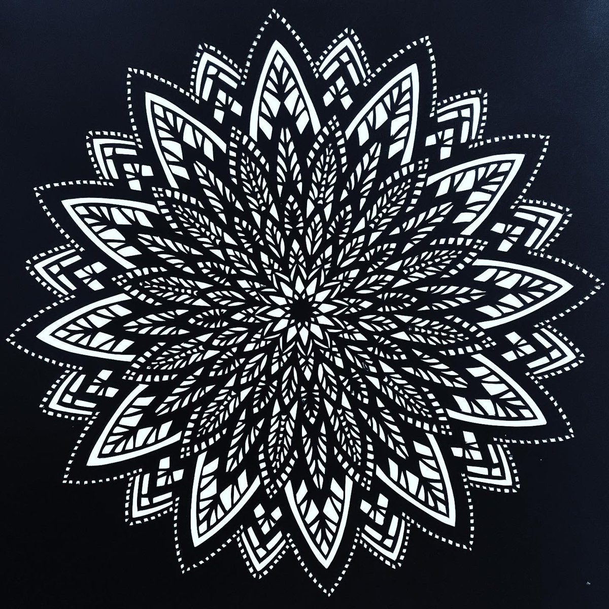 ChartamArt's tweet photo. Finished cut. Black SoSilk #11xacto blades #papercrafts #papercut #papercutting #papercuttingart #papercutart #papercutartist #papercutartwork #mandala #scherenschnitte #guildofamericanpapercutters https://t.co/b0ex23cMpR