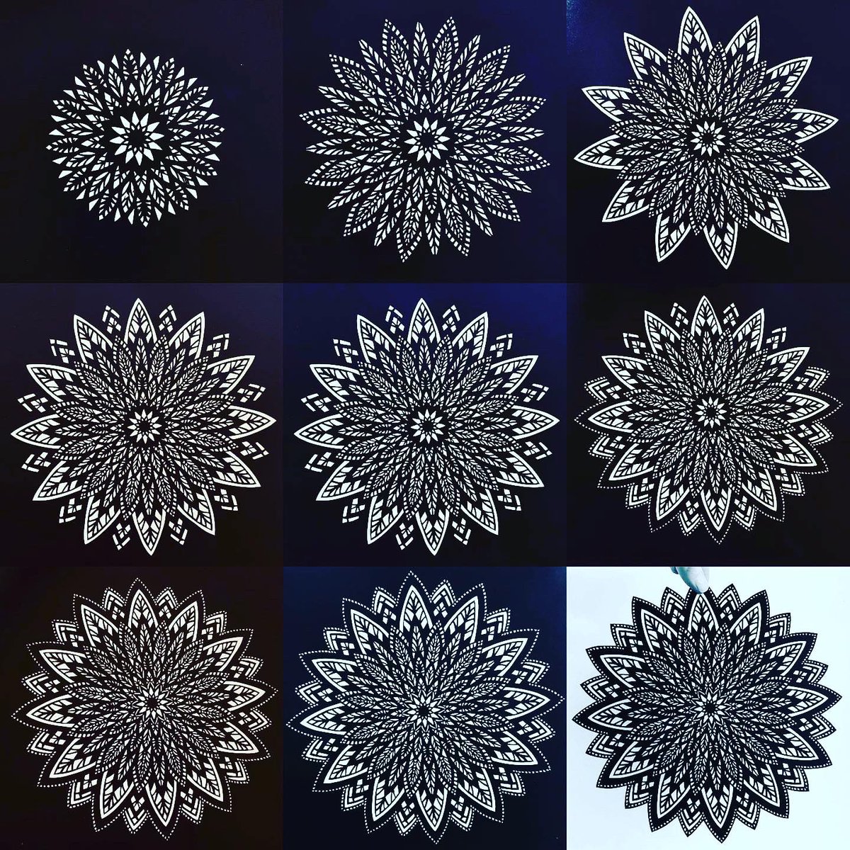ChartamArt's tweet photo. Finished cut. Black SoSilk #11xacto blades #papercrafts #papercut #papercutting #papercuttingart #papercutart #papercutartist #papercutartwork #mandala #scherenschnitte #guildofamericanpapercutters https://t.co/b0ex23cMpR