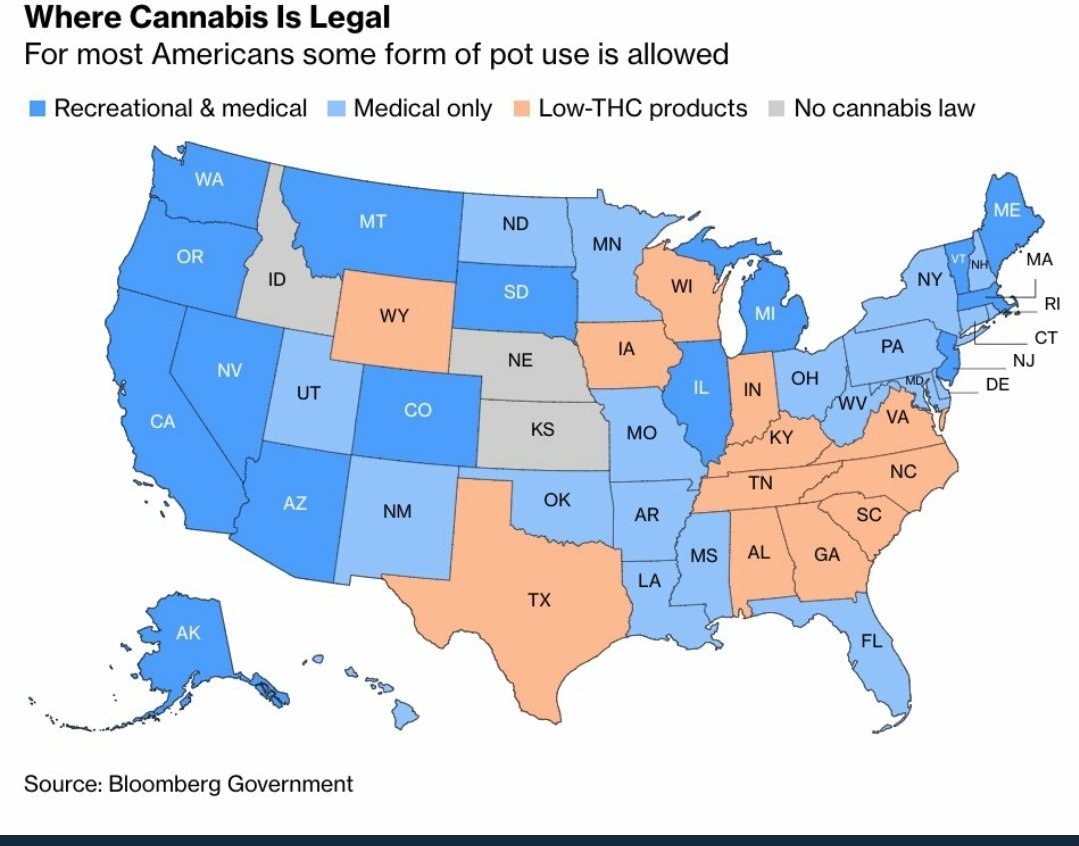 リアポテ ロサンゼルス マリファナもそろそろ全部の州で合法化されそうな勢い Blueの所が既に合法化されている州 で オレンジがまだ違法な場所 アメリカ面白いよ だって州ごとで法律が違うもんねー 日本で例えると九州は合法化されてるけど 東北はまだ