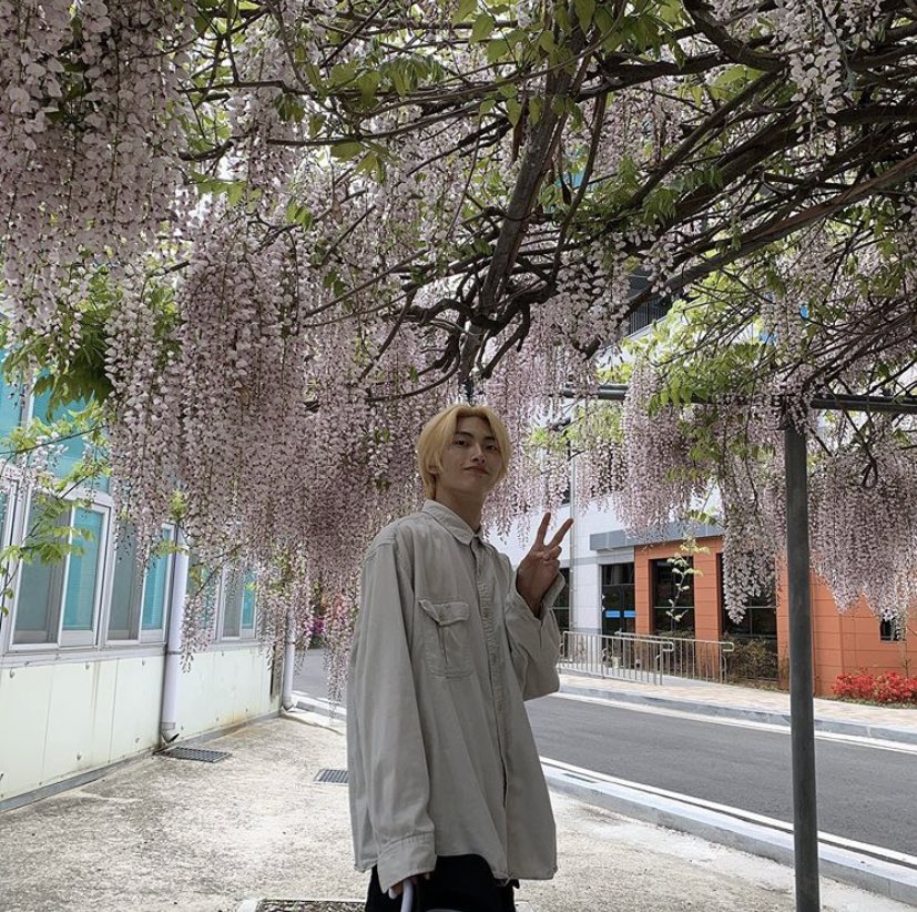 actually inclusive poc thinspo - a thread