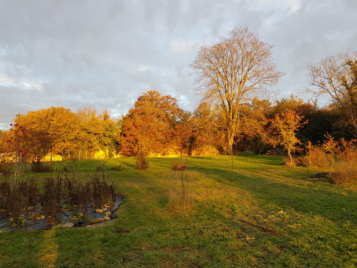 Silicon Loches tweet media