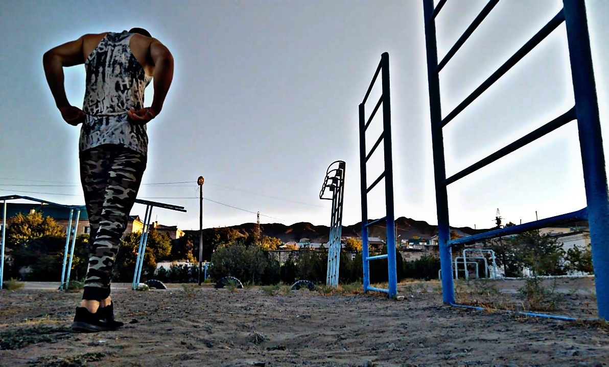 Roman Calisthenics (@romanworkout1) on Twitter photo 