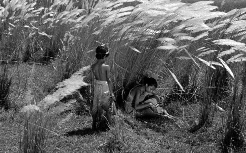 I said “newer” because the West often sees Bengali cinema limited to giants like Ray, Sen, and Ghatak. Their greatness is beyond doubt but Bengali (and Indian cinema) has so much more to offer, way more than this thread can even begin to capture.