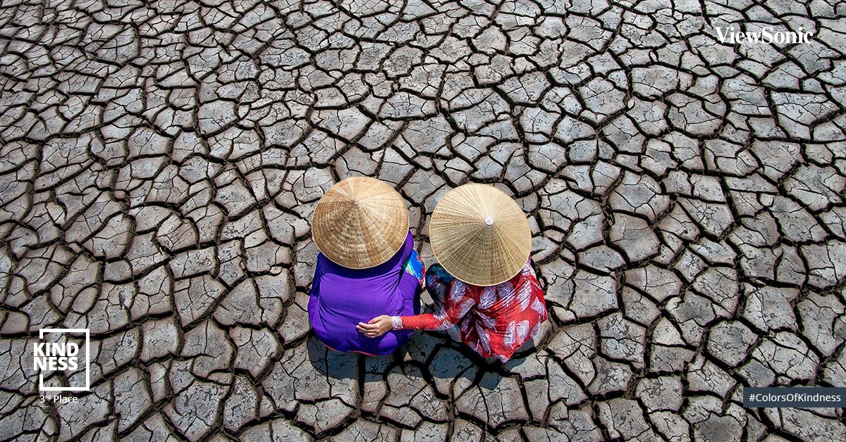 ViewSonic's tweet photo. Congratulations to Teo Chin Leong, the 3rd place winner of our #ColorProAward2020 global photography contest! Visit https://t.co/XeM04sz5n9 to see the top 100 submissions. #ColorsOfKindness #WorldKindnessDay https://t.co/dn7LRW9X7d