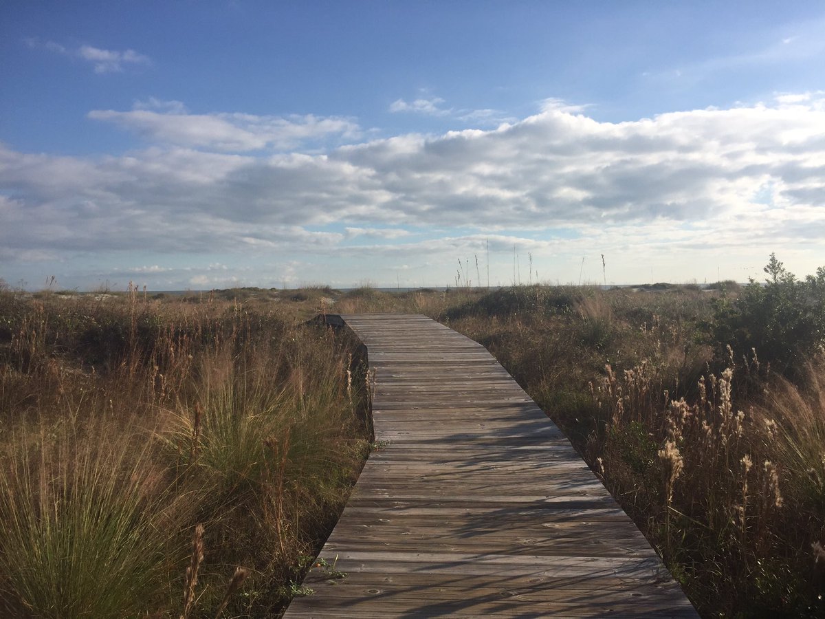 sarafnovak's tweet photo. Been up since the very early AM. The clouds have finally cleared and Iβm closing my computer early today. #sanityrun https://t.co/2OL7fkECap