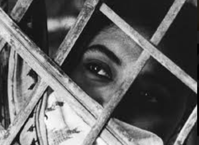 I said “newer” because the West often sees Bengali cinema limited to giants like Ray, Sen, and Ghatak. Their greatness is beyond doubt but Bengali (and Indian cinema) has so much more to offer, way more than this thread can even begin to capture.