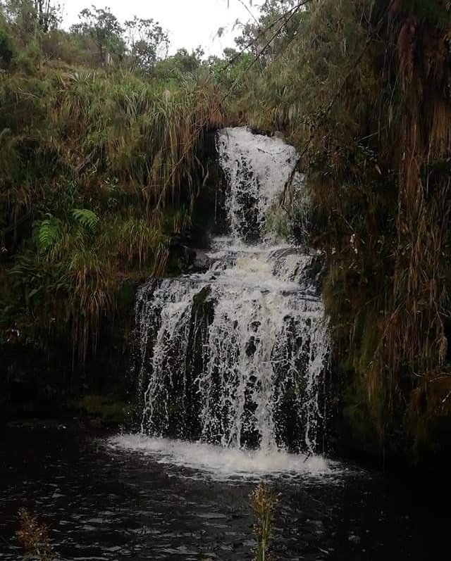 IDECUTCundi's tweet photo. La Administración Municipal de Choachí, Cundinamarca, en cabeza del alcalde Carlos Velásquez Garzón, invita a la XXIII Semana Cultural por el Arraigo Chiguano, titulada “Choachí, 460 años de Historia", del 17 al 21 de noviembre. 
#RegiónQueProgresa
#cultura
#Turismo https://t.co/idmjv8kFAr
