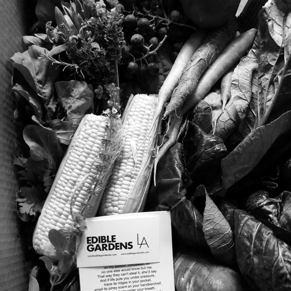 rrobinson72's tweet photo. What an honour. @ediblegardensla are delivering my poem #aportableparadise with their deliveries. Poems as emotional food and a box of produce can be a portable paradise. 2nd pic originally by @marlafrazee . Come on @abelandcole get poets poems in those delivery boxes. #poems https://t.co/qvRqrNPwFh