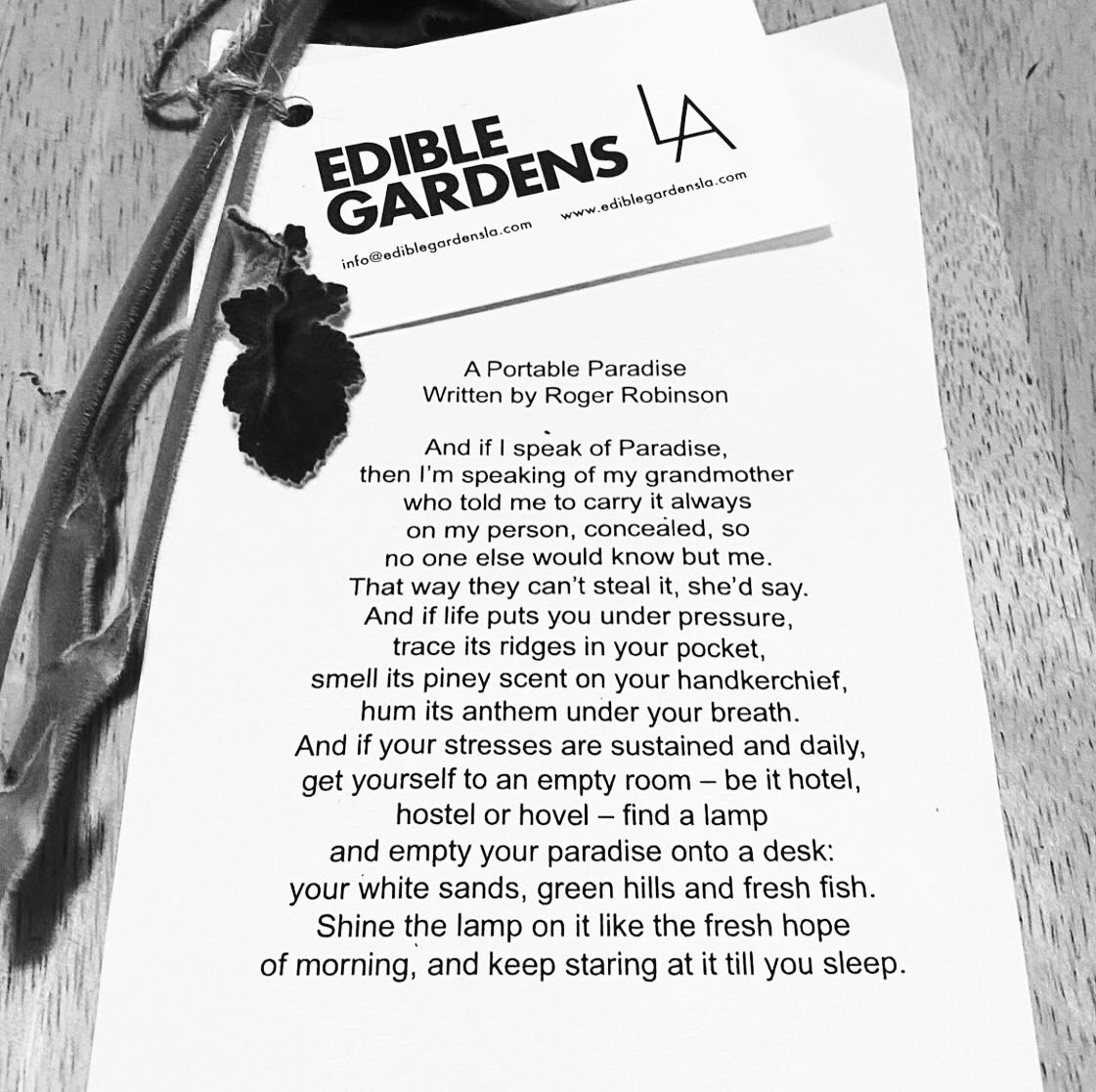 rrobinson72's tweet photo. What an honour. @ediblegardensla are delivering my poem #aportableparadise with their deliveries. Poems as emotional food and a box of produce can be a portable paradise. 2nd pic originally by @marlafrazee . Come on @abelandcole get poets poems in those delivery boxes. #poems https://t.co/qvRqrNPwFh