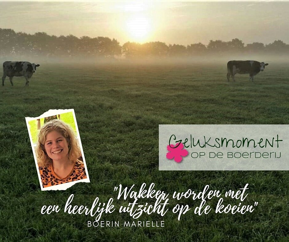 Hallo twitteraars, 
Zitten jullie ook op fb of insta? 
Ja? Kijk dan ook even naar ons account, want we hebben daar een super leuke serie: #geluksmoment op de boerderij. 
Met altijd een mooi verhaal er bij. 
Dus twitteraar, tot ziens op fb of insta! 🤗