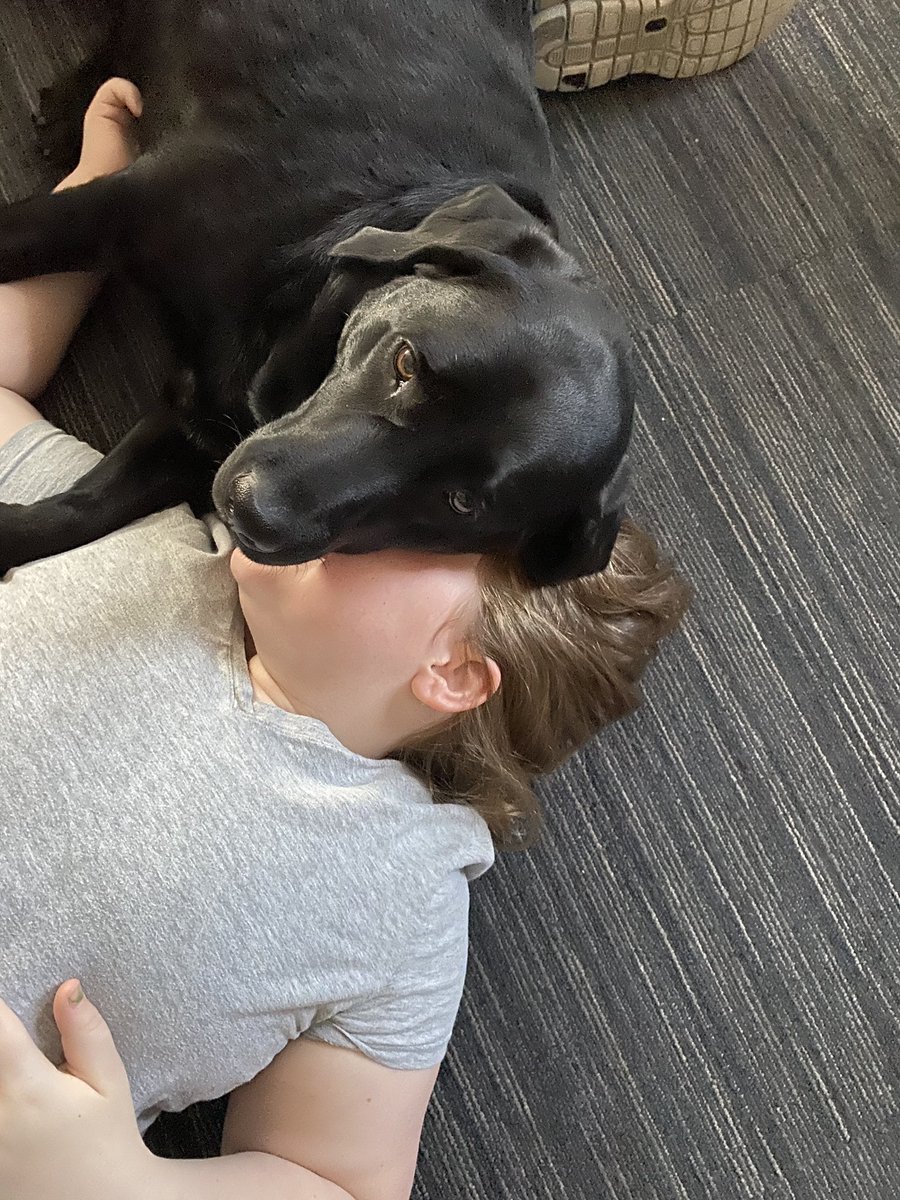 dspoor's tweet photo. Child? I don’t see a child. I have, however, found the world’s best pillow. https://t.co/CufVnQv2oY