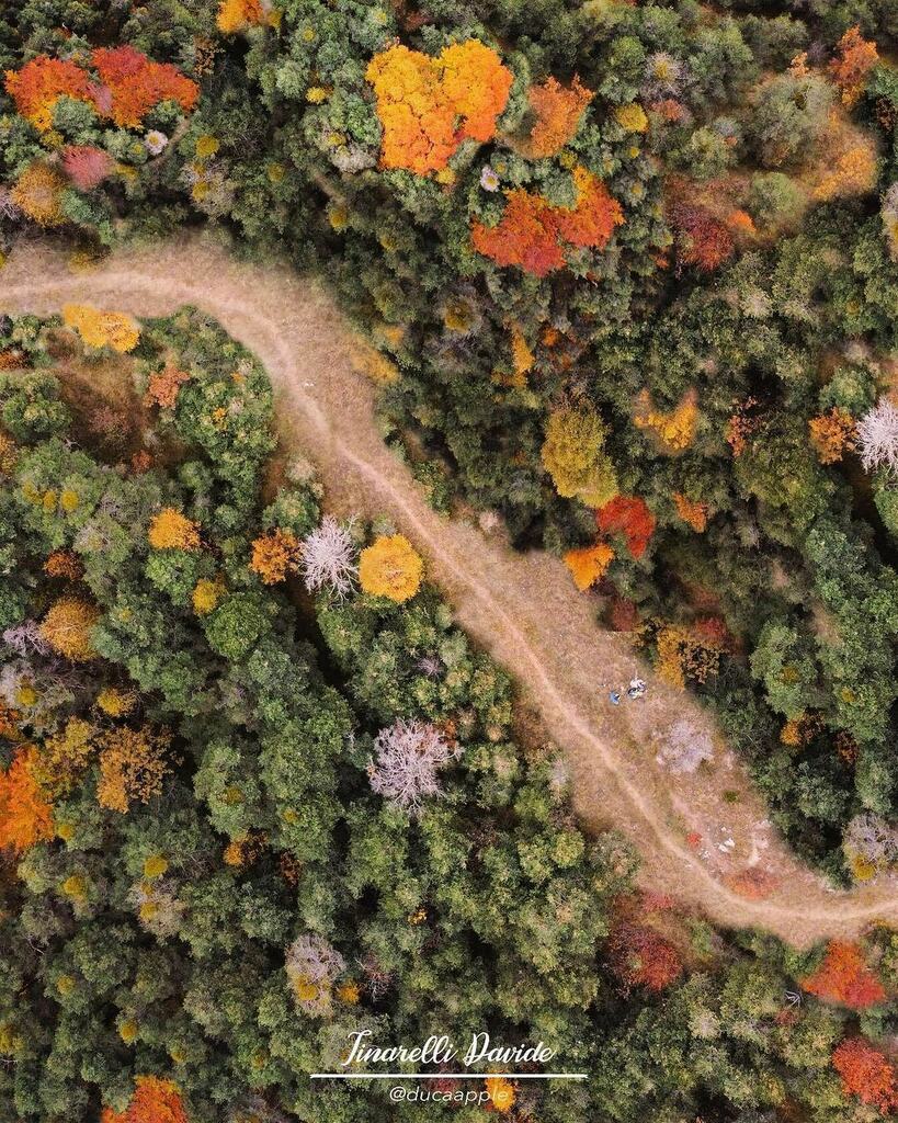 IG Cuneo tweet media