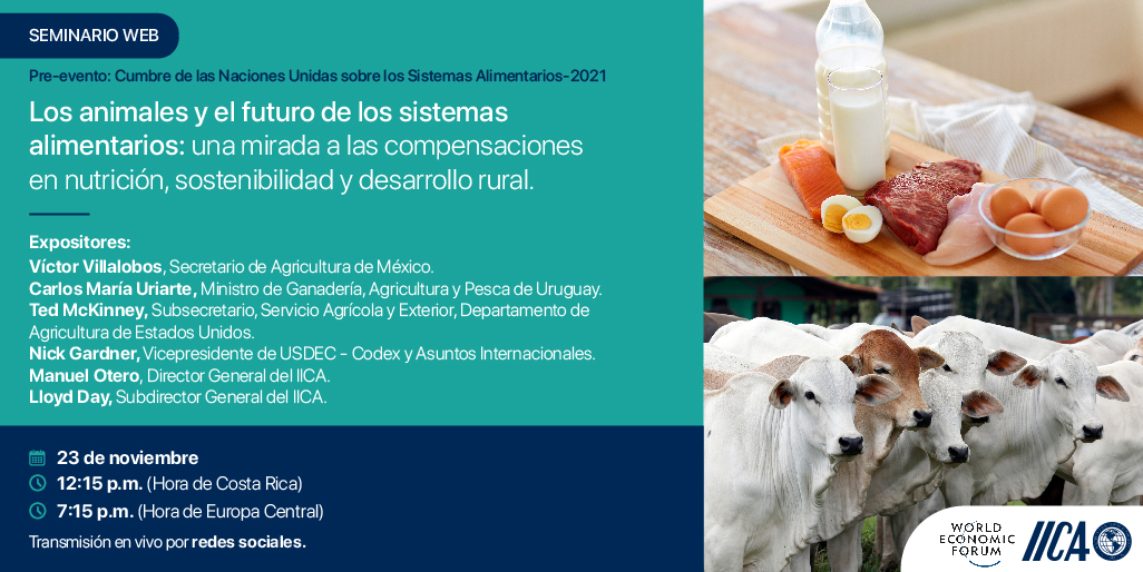 IICAnoticias's tweet photo. #SaveTheDate 📌 Seminario web: Los animales y el futuro de los sistemas alimentarios: una mirada a las compensaciones en nutrición, sostenibilidad y desarrollo rural.

🗓 23 de nov. | 12.15 p.m. (Hora de Costa Rica 🇨🇷)

📺Transmisión por:
▶️Facebook Live y https://t.co/JHZ1qVpa4I https://t.co/UvHsj4s0AT