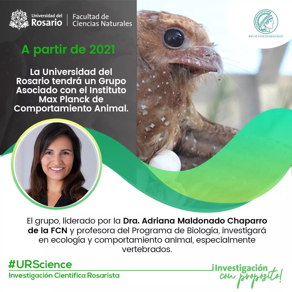 eci_ur's tweet photo. A partir de 2021 Universidad del Rosario y la Facultad de Ciencias Naturales, tienen un Grupo Asociado con el Max Planck Institute of Animal Behavior @animaltraking. ¡Es una maravillosa oportunidad de colaboración científica internacional!
#URScience
@AdriMaldoC
@urosario https://t.co/UiTCCbKXhx