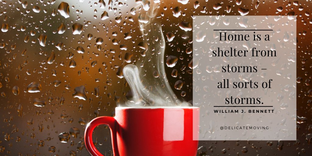 DelicateMoving tweet media