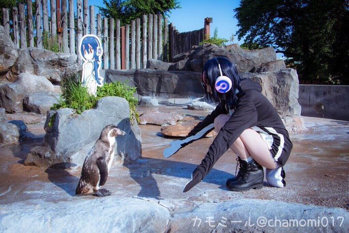コスプレイヤーカモミールのTwitter画像16
