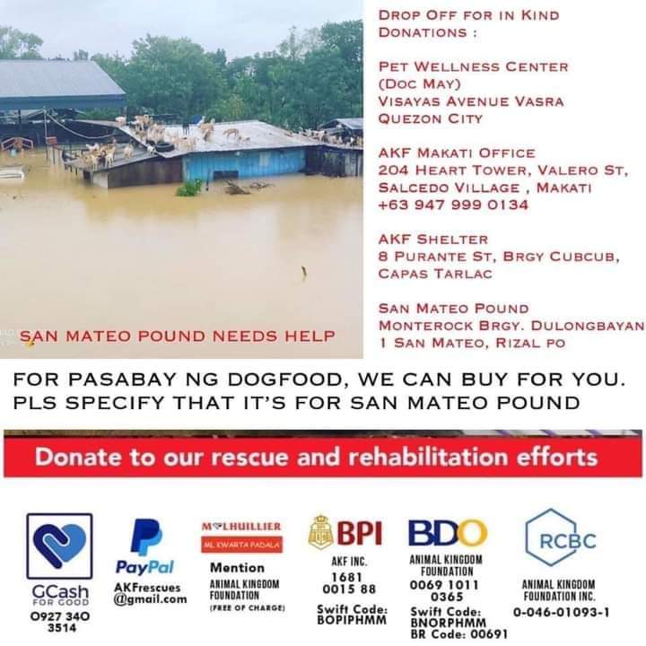 comaniie's tweet photo. Hi guys! Pakispread din tong info please. For San Mateo Pound - no kill shelter. If you can, please donate 🥺

#Ulysses
#RescuePH https://t.co/ZvnIGiuycE