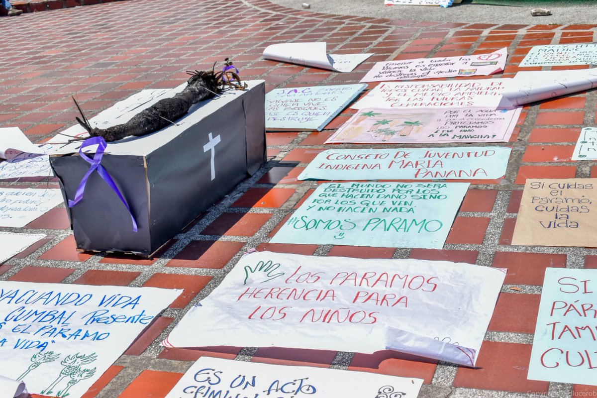 RNJAnarino's tweet photo. La Red Jóvenes de Ambiente Nodo Nariño en conjunto con otras organizaciones y comunidad en general el día de hoy estuvo presente en la Gran Movilización por los Páramos, con el fin de manifestarnos por la gran problemática que se ha venido suscitando en estos ecosistemas https://t.co/9LIfinOKla