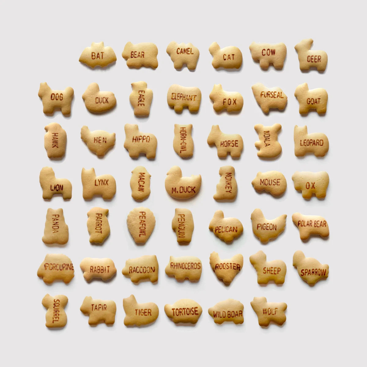 befor → afterがすごすぎる。みんな大好き「たべっ子どうぶつ」のアイシング。