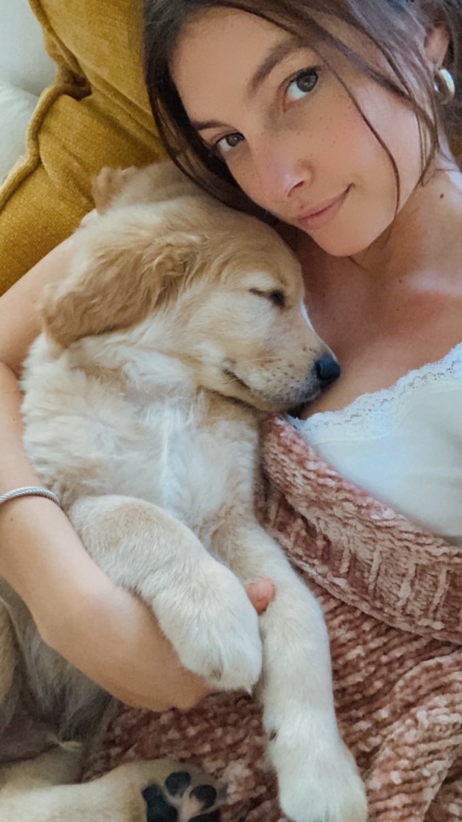 LaughlinTucker's tweet photo. Twitter, meet my baby boy benson😇 https://t.co/PDeG8HXLWR