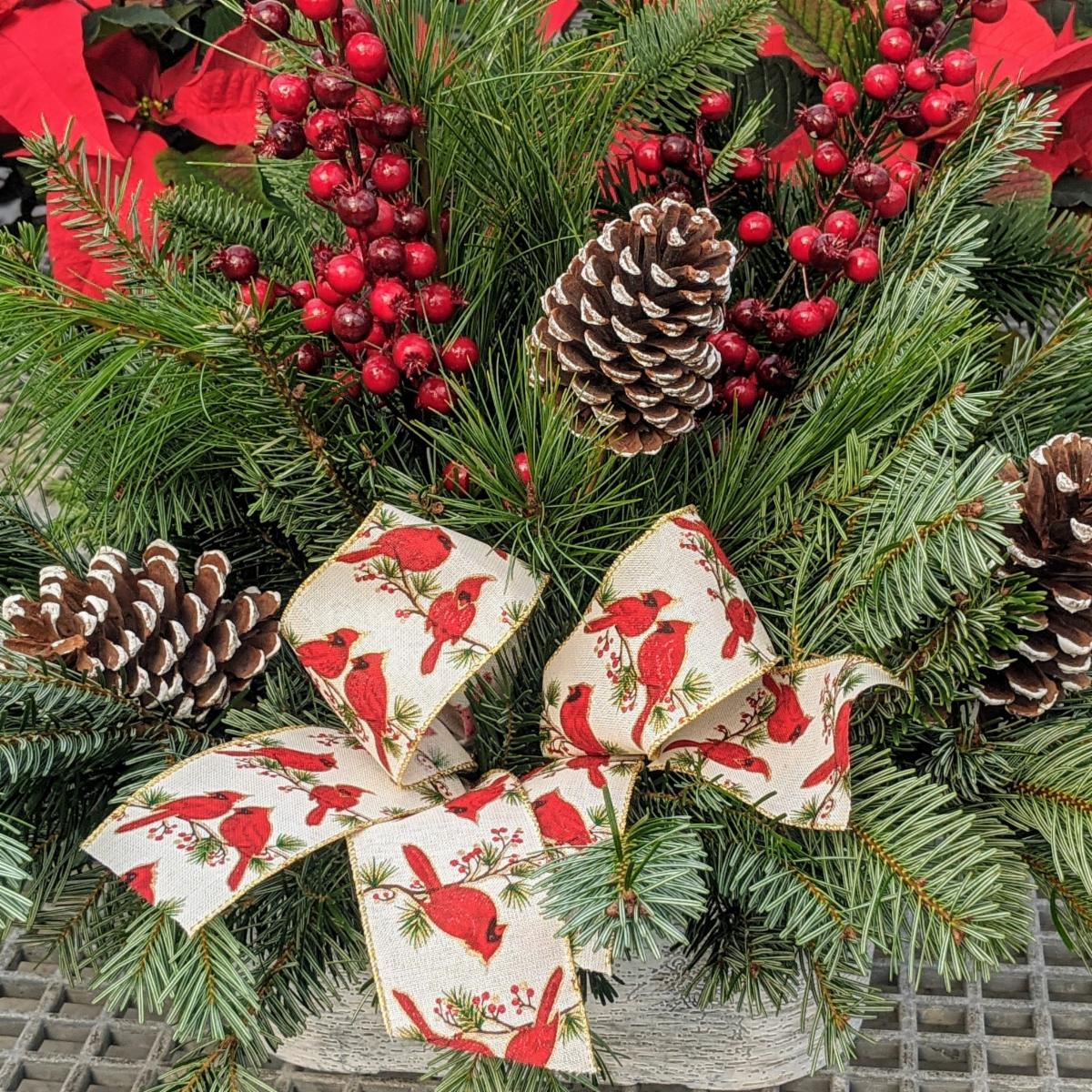 $20 Coupon Inside conta.cc/36DDLZf