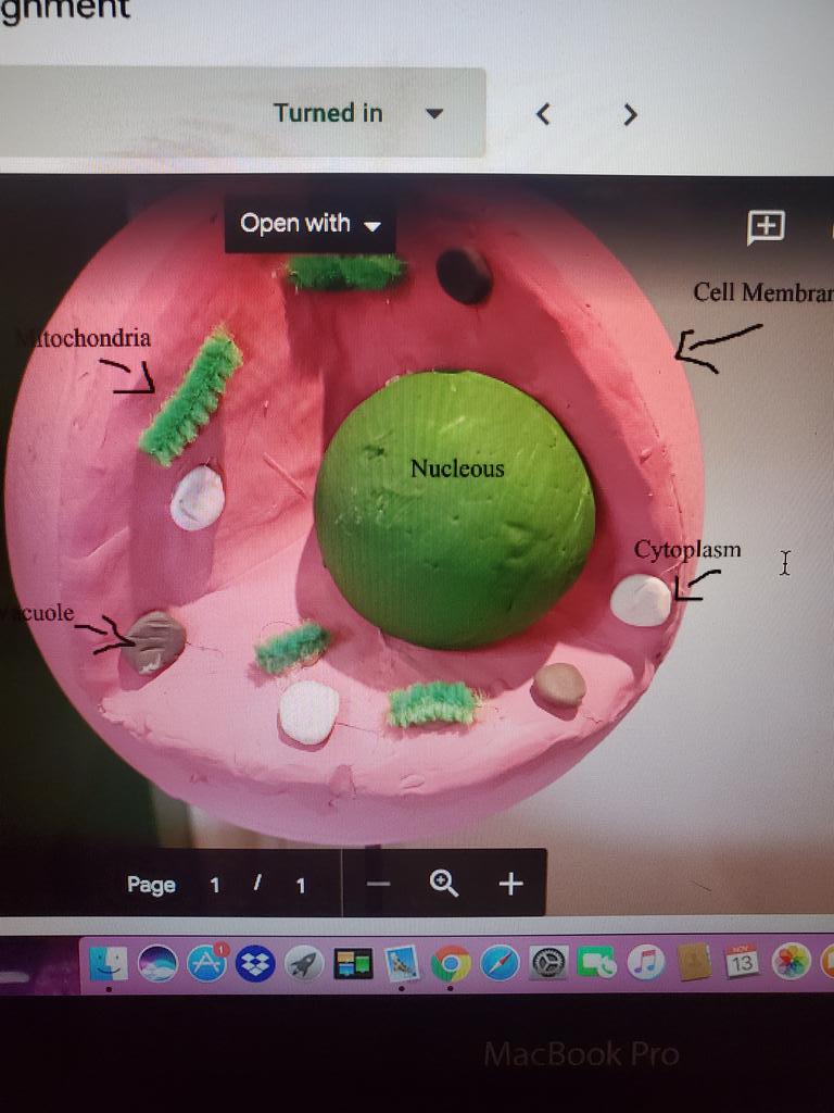 MSGGrade7_8's tweet photo. More incredible work by my "great 8 gang gang❤" models of plant &amp; animal cells coming right atcha🙂 @BSIycdsb @WigstonJennifer @YCDSB @PathwaysYCDSB I'd say this is IPP worthy🙂 https://t.co/xteDpZXGpO